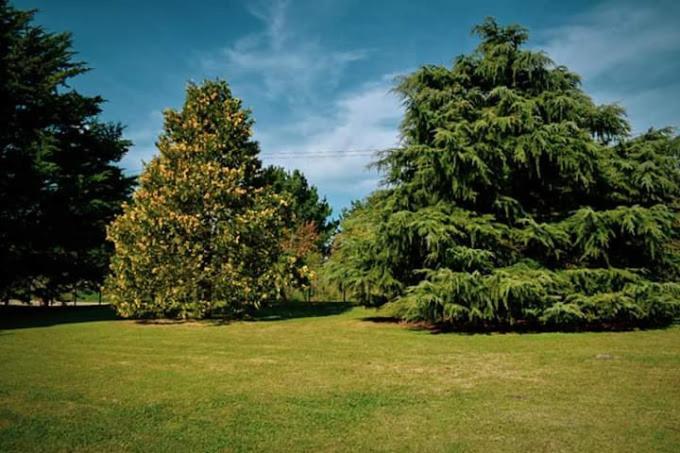Village Park Ταντίλ Εξωτερικό φωτογραφία